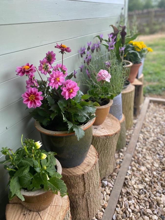 Cosy Cotswolds Self-Contained One Bedroom Cottage Chipping Norton Buitenkant foto